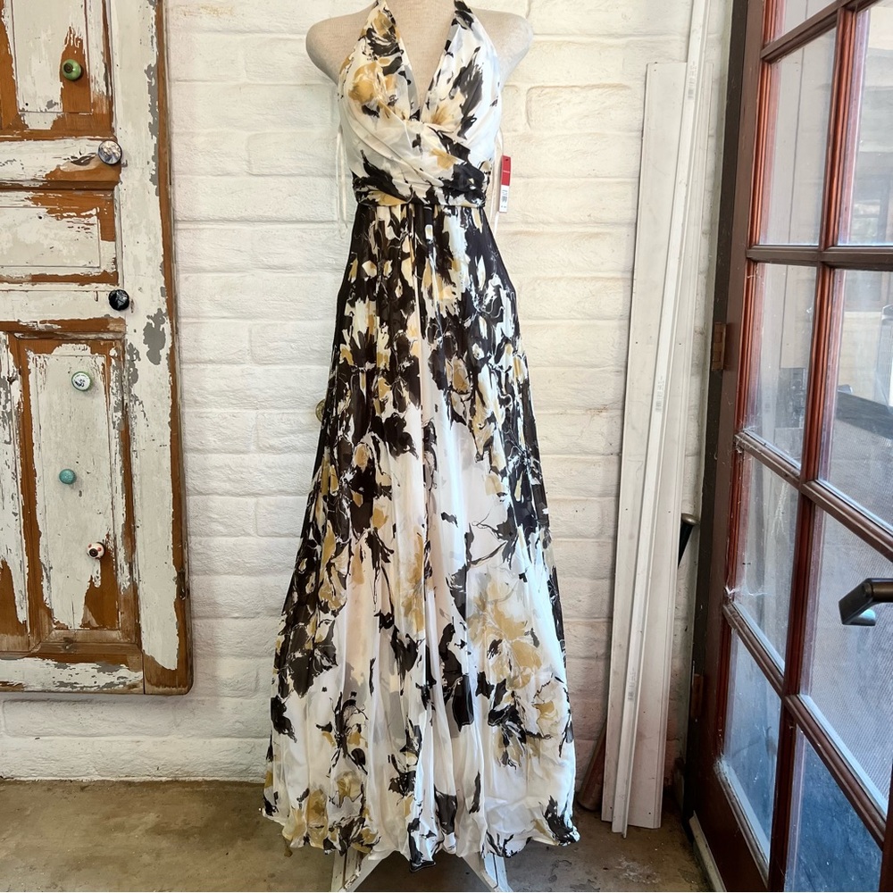 Gorgeous Donna Ricco silk organza printed overlay maxi  dress